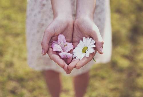 flower person holding flowers spring