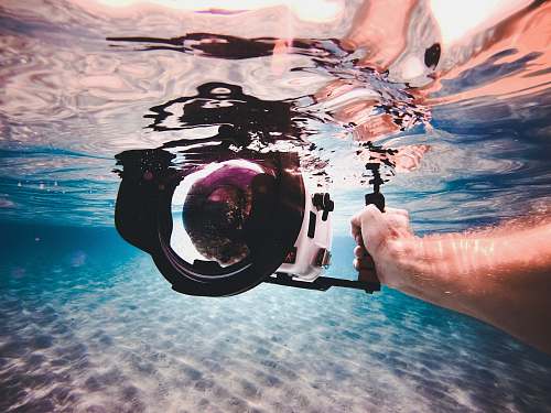 holding person holding white and black underwater camera arm