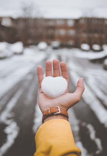 person person holding white snow finger