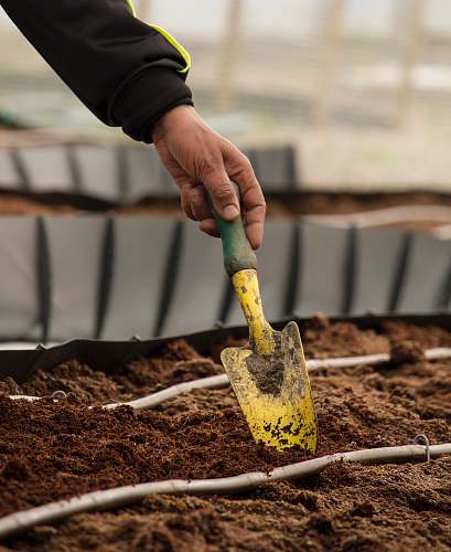 person person holding yellow and green gardening shovel wrist