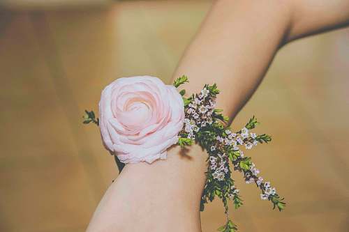 wrist person wearing pink corsage flower