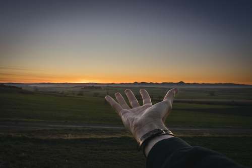 person person with left hand open during golden hour human