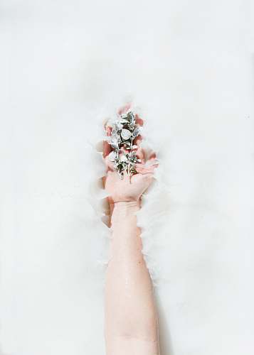 nature person's hand holding plants on white water outdoors
