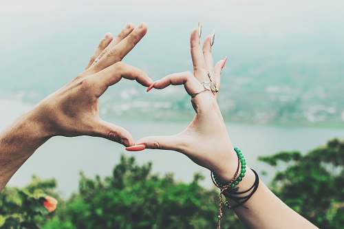 human person's hand person