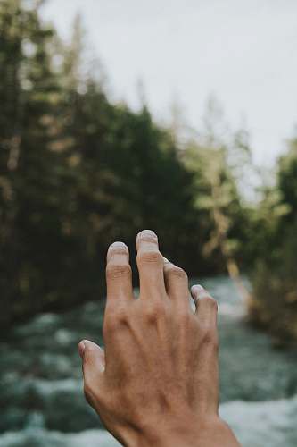 finger person's hand in shallow focus water