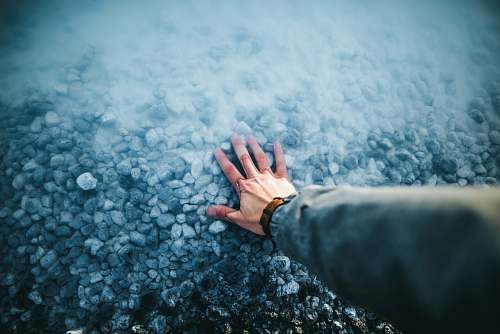 person person's left hand human