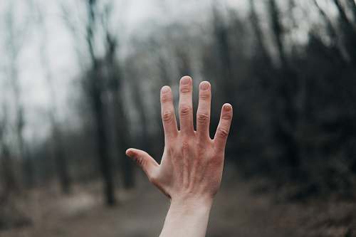 reaching shallow focus photography of person's left hand outside hand up