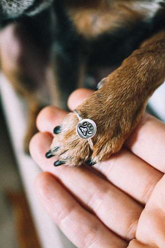 moscow silver-colored ring russia