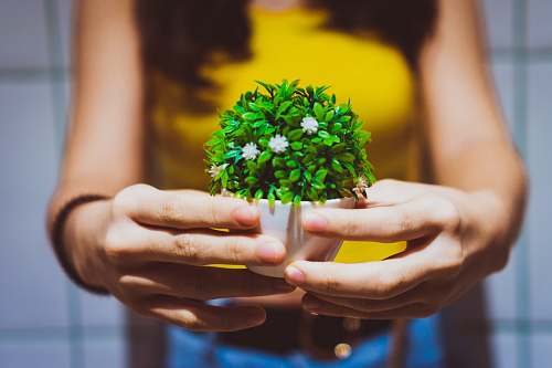 plant woman holding green plant gusttimo cafe