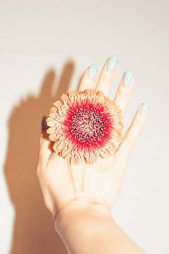 person yellow and red petaled flower human