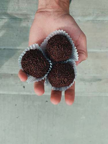 food baked cupcakes plant