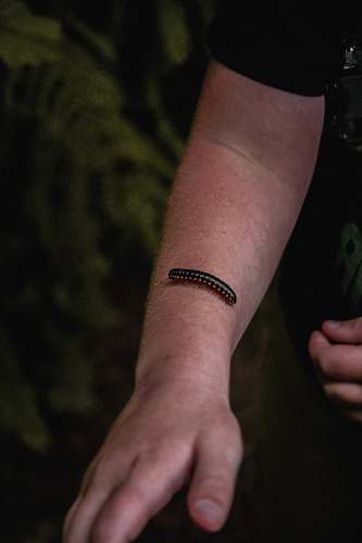 person black centipede on man's arn arm