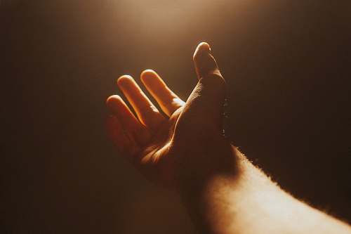 person human hand finger