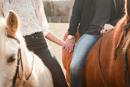 person man and woman riding horses while holding hands during day horse