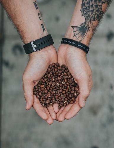 person person holding brown coffee beans selective focus photography coffee