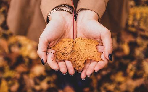 finger person holding brown powder hand