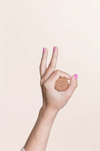 person person holding cookie hand