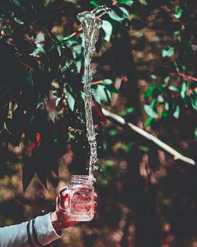 people person holding glass mason jar person