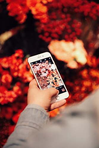 person person holding gold iPhone 6 taking photo people