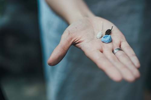 person person holding shells people