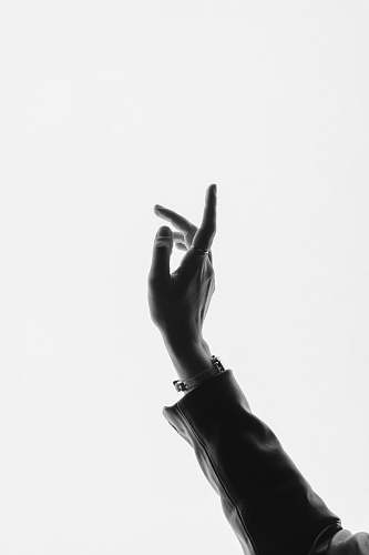 person person showing left hand black-and-white