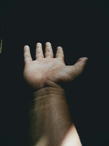 person person with left palm open hand
