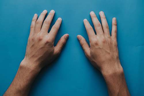 person person's hand illustration hand