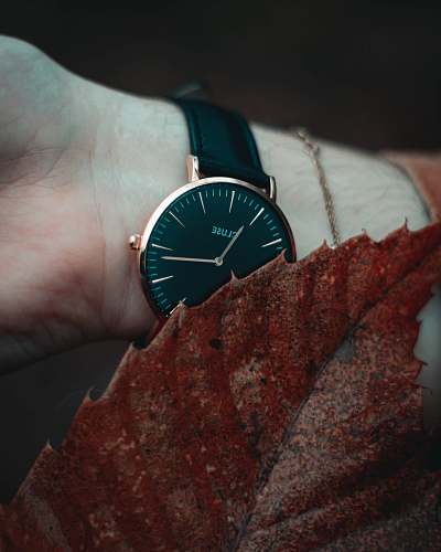 person round black and gold-colored analog watch with black leather band wristwatch