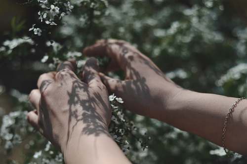 hand selective focus photo of person's hand on white flower skin