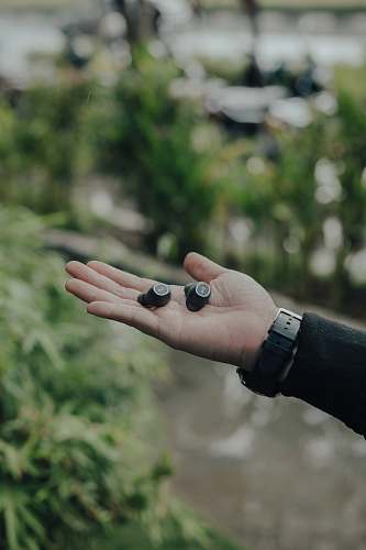 person two black wireless earbuds on person's palm fruit