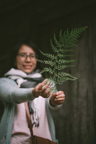 person woman holding green leaf while smiling people