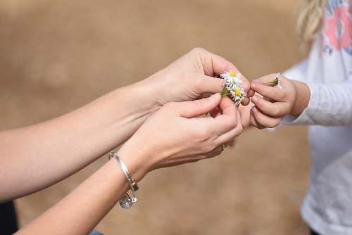 person woman wearing silver-colored bracelet finger