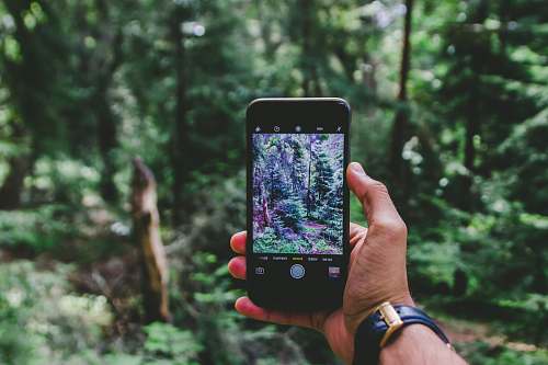 phone person hand talking photo of plants santa cruz