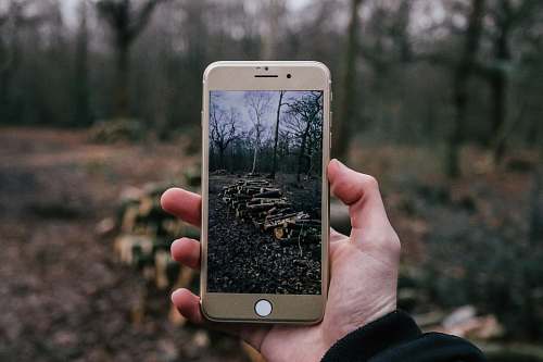 nature person taking a photo of firewoods using iPhone mobile phone
