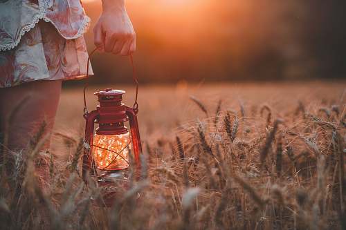 lamp closeup photography of woman wearing floral skirt holding red gas lantern at brown grass field light