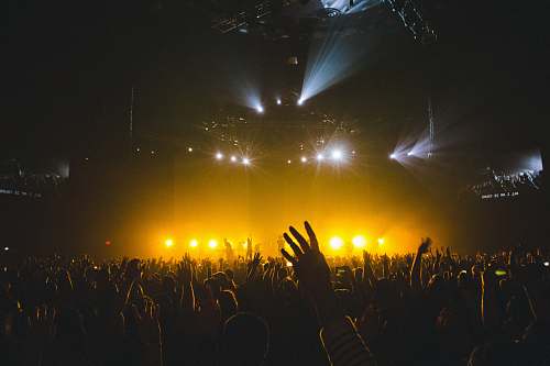 music concert photos flare