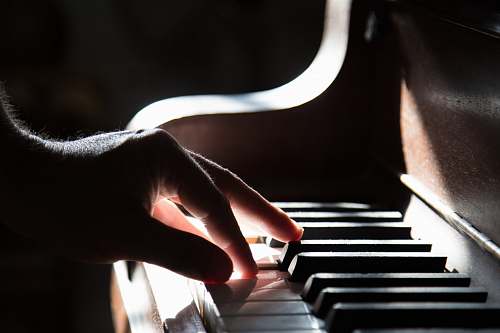 Piano Images Pictures And Free Stock Photos Page 2