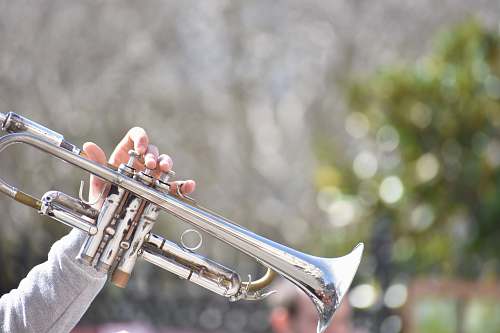 trumpet person playing trumpet outdoor brass