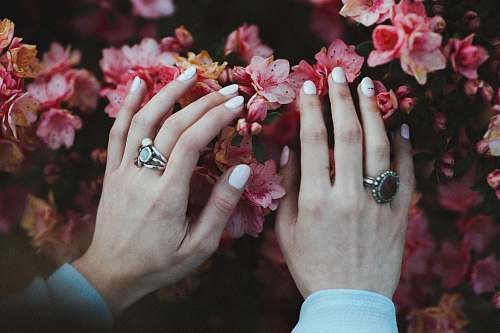 people person holding pink flowers flower