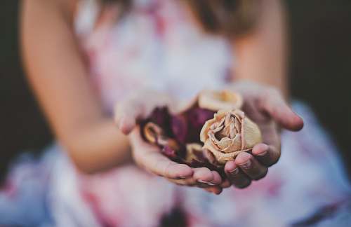 person selective focus photography of a girl holding flowers human