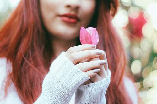 person woman holding pink rose human