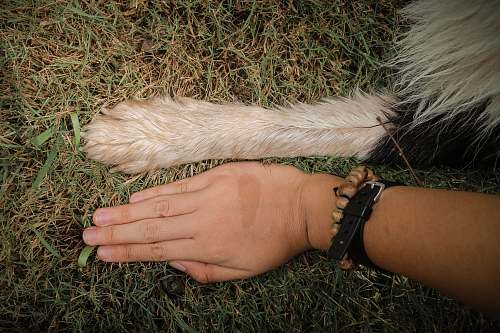 human human hand close-up photography wristwatch