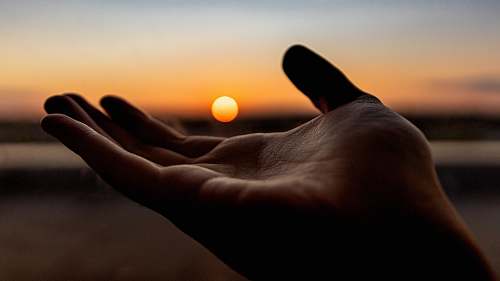 human human palm on focus photography outdoors