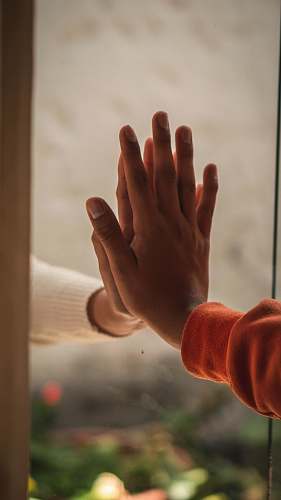 human left human hand finger