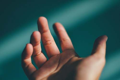 human left human palm close-up photography finger