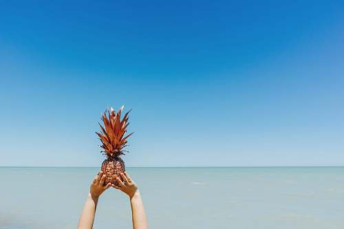ocean person holding pineapple pineapple