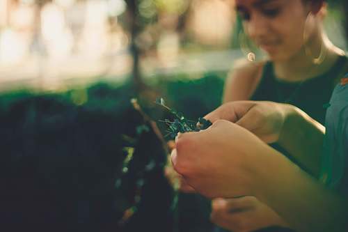 human person holding plant hand
