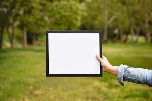 human person holding white and black panel white board