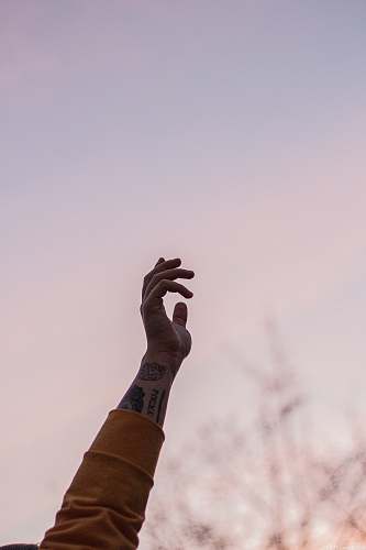 human person in orange long-sleeved shirt raising hand finger