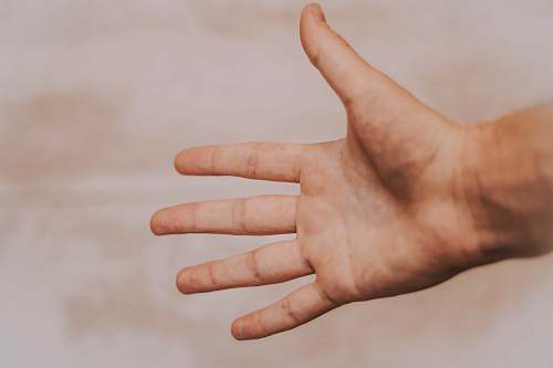 human person showing left hand hand